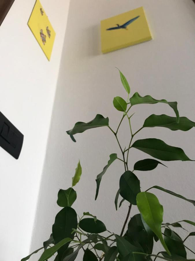 B&B Dal Giotu Gravellona Lomellina Zewnętrze zdjęcie